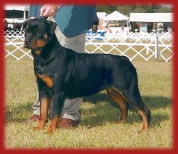 CLICK HERE FOR MORE ON FENNIE!